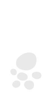 IDEALIAN