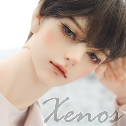 2205-ID-Xenos-t